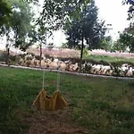 Bebek Hotel 3*